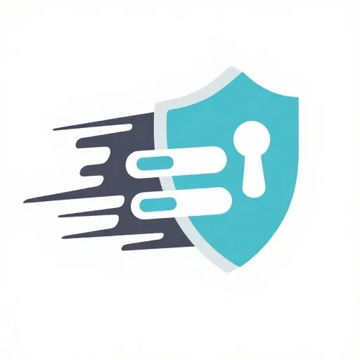 安全访问示意图