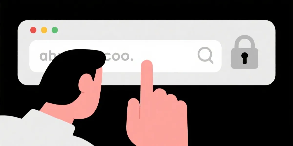 核对域名与安全锁标识示意图